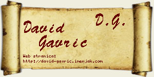 David Gavrić vizit kartica